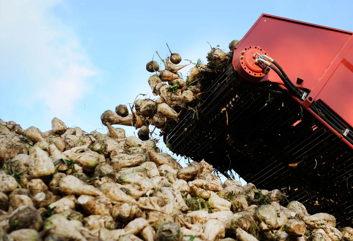 Kumera - Sugar processing drives - 5