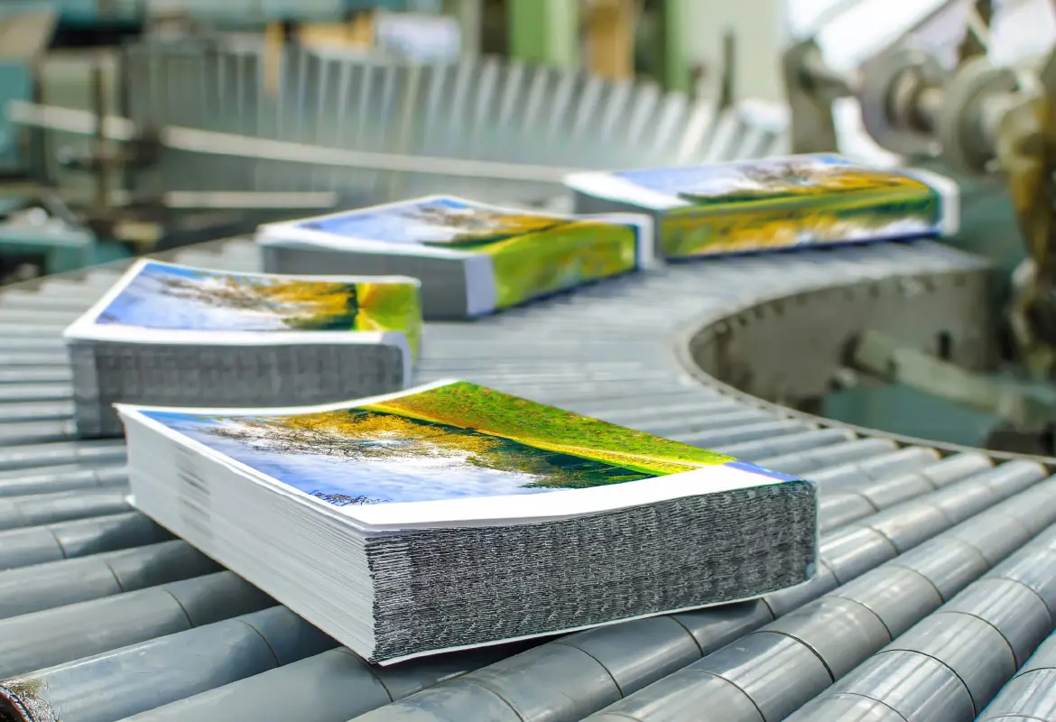 Kumera - Material handling 2